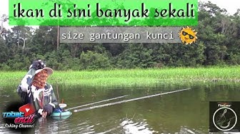 Detail Dp Bbm Mancing Nomer 54