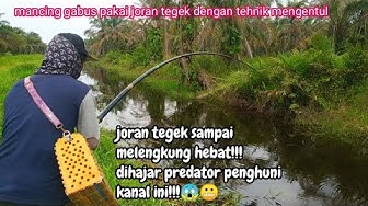 Detail Dp Bbm Mancing Nomer 10