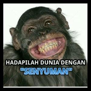 Detail Dp Bbm Monyet Lucu Nomer 19