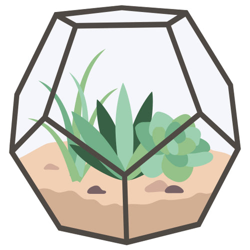 Detail Kakteen Terrarium Nomer 14