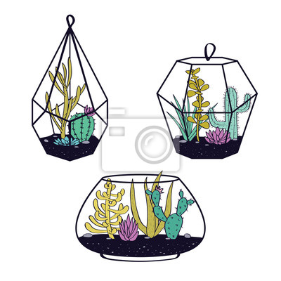 Detail Kakteen Terrarium Nomer 26