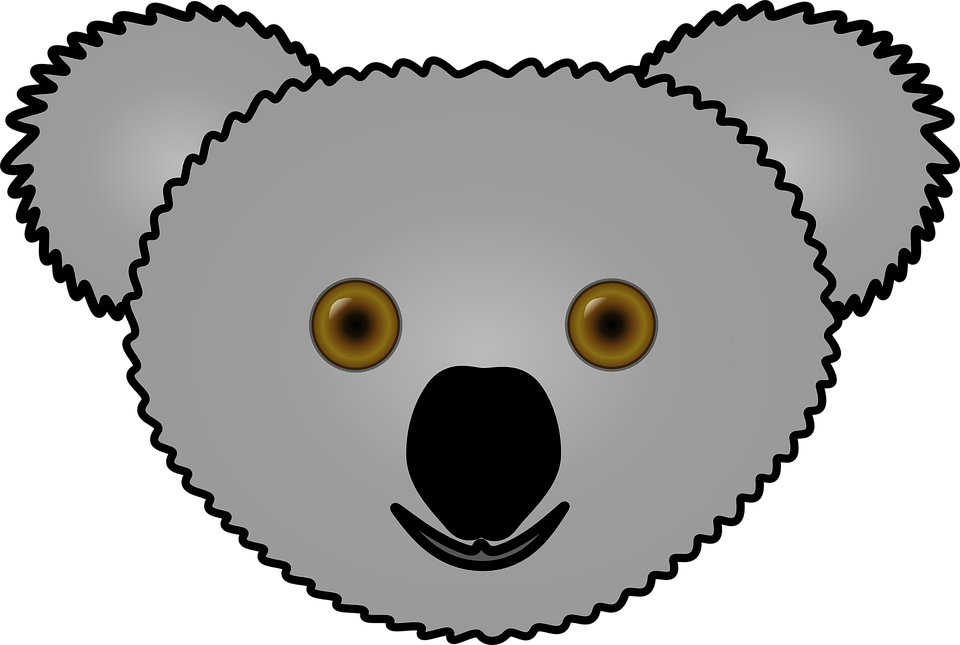 Koala Kopf - KibrisPDR