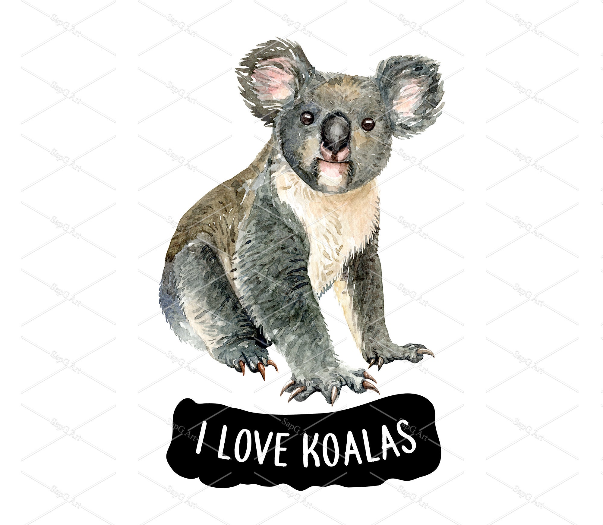 Detail Koala Kopf Nomer 7