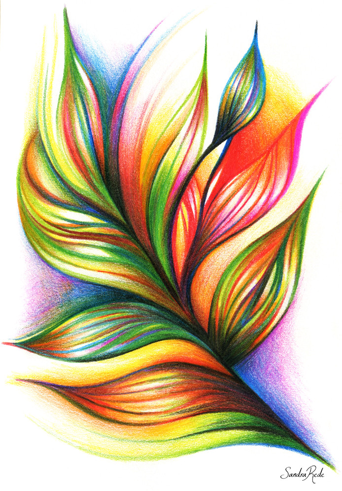 Detail Pencil Drawings Abstract Art Nomer 7