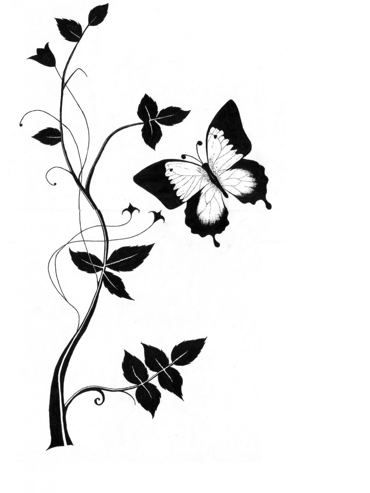 Detail Pencil Drawings Abstract Art Nomer 15