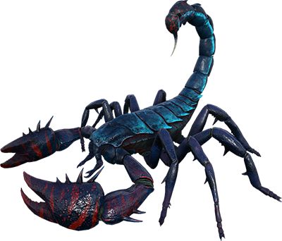 Detail Scorpions Ark Nomer 6