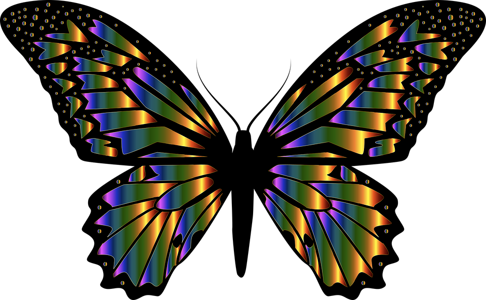 Detail Vector Graphics Nomer 20