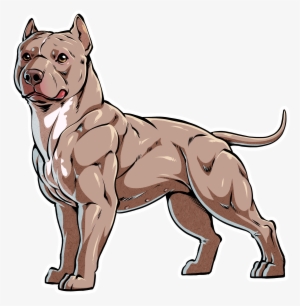 Detail American Bully Drawing Nomer 26