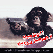 Dp Bbm Monyet - KibrisPDR
