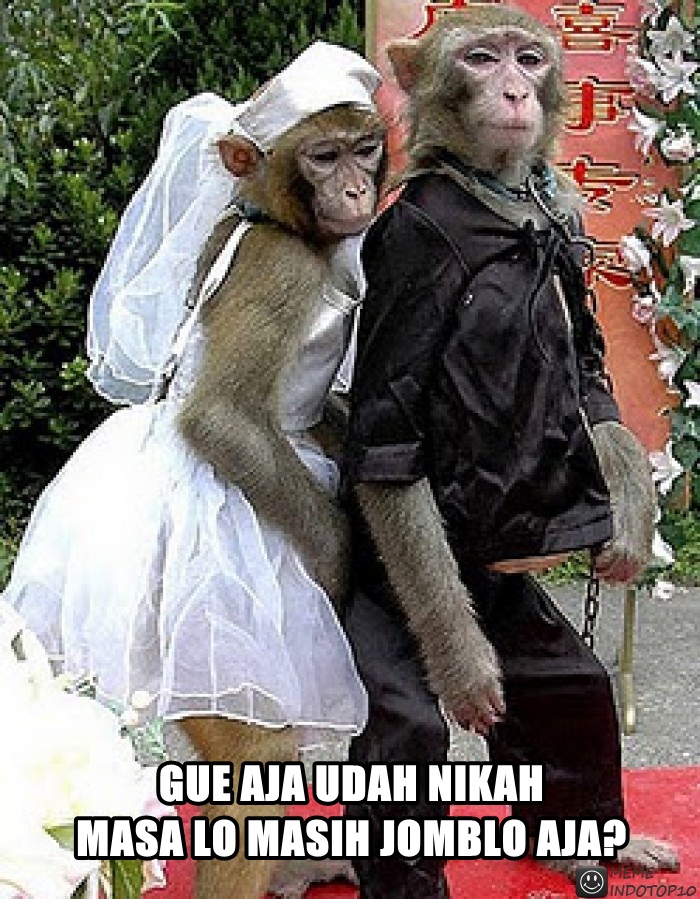 Detail Dp Bbm Monyet Nomer 27