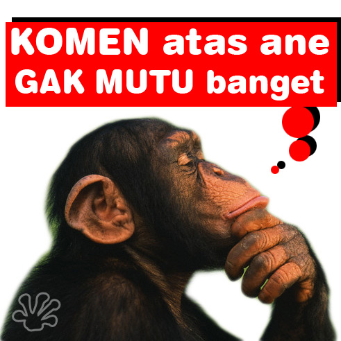 Detail Dp Bbm Monyet Nomer 30