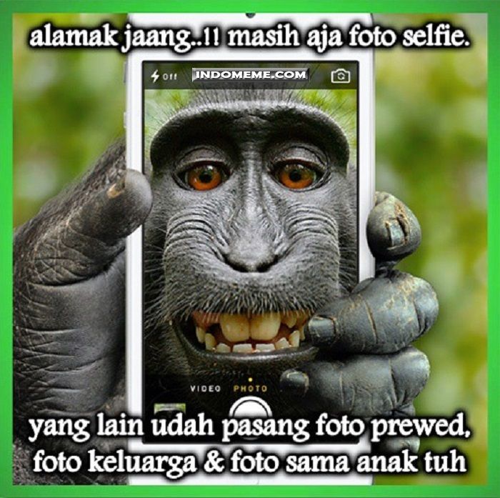 Detail Dp Bbm Monyet Nomer 9