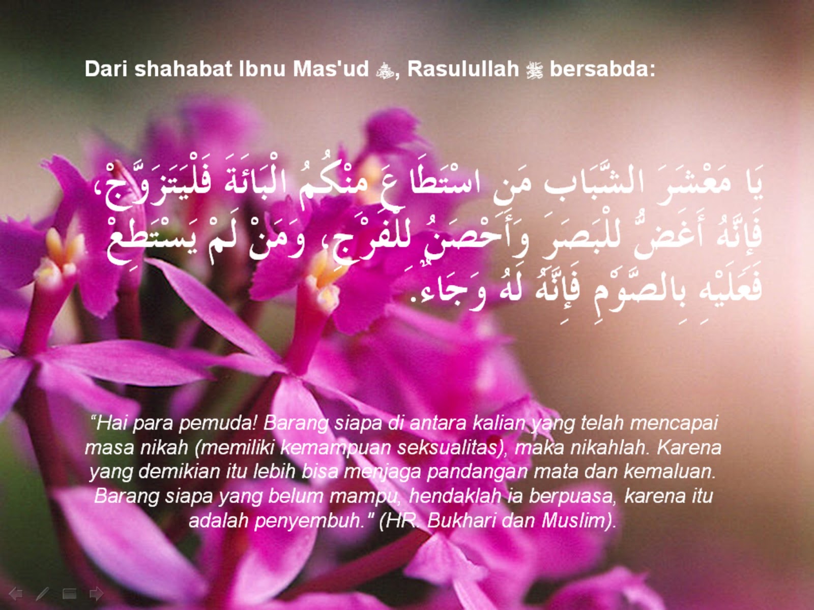 Detail Dp Bbm Pengantin Baru Nomer 22