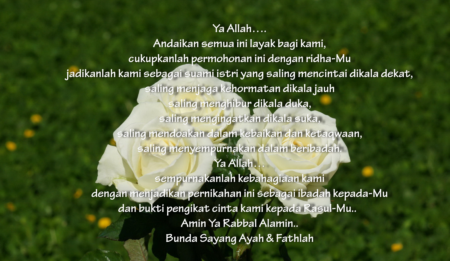 Detail Dp Bbm Pengantin Baru Nomer 43