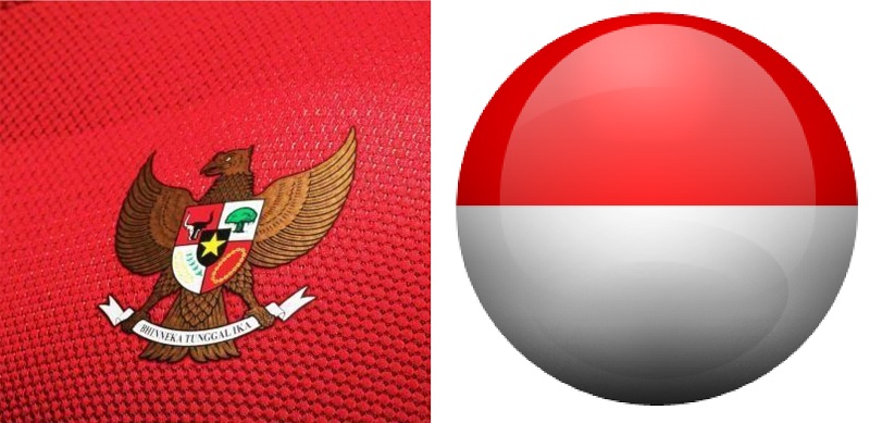 Detail Dp Bbm Timnas Indonesia Nomer 13