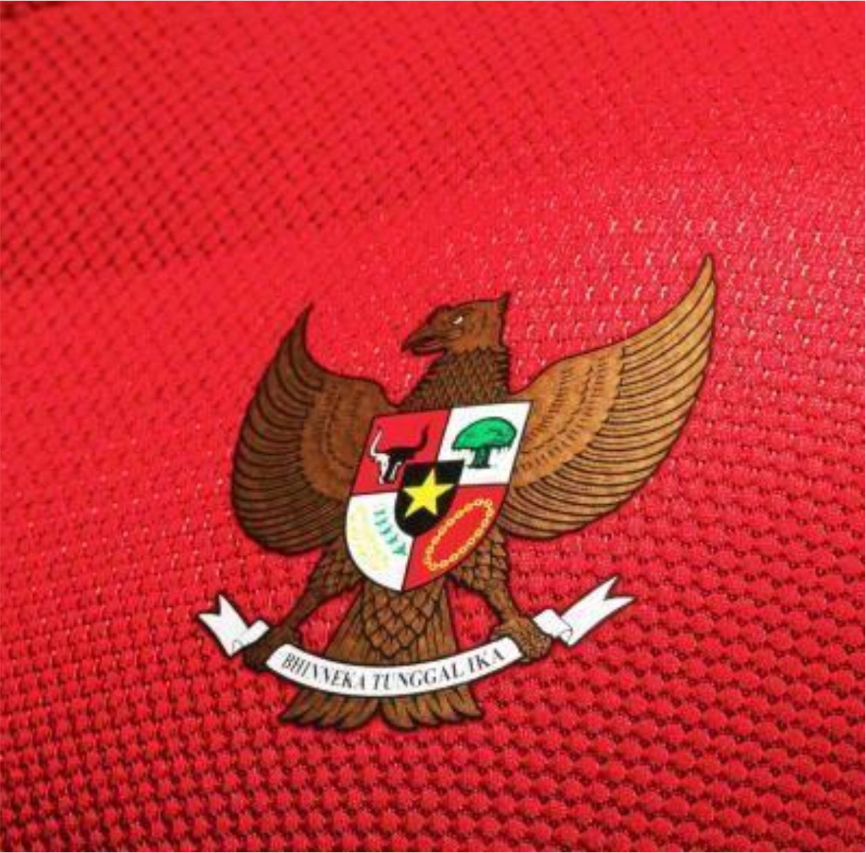 Detail Dp Bbm Timnas Indonesia Nomer 53