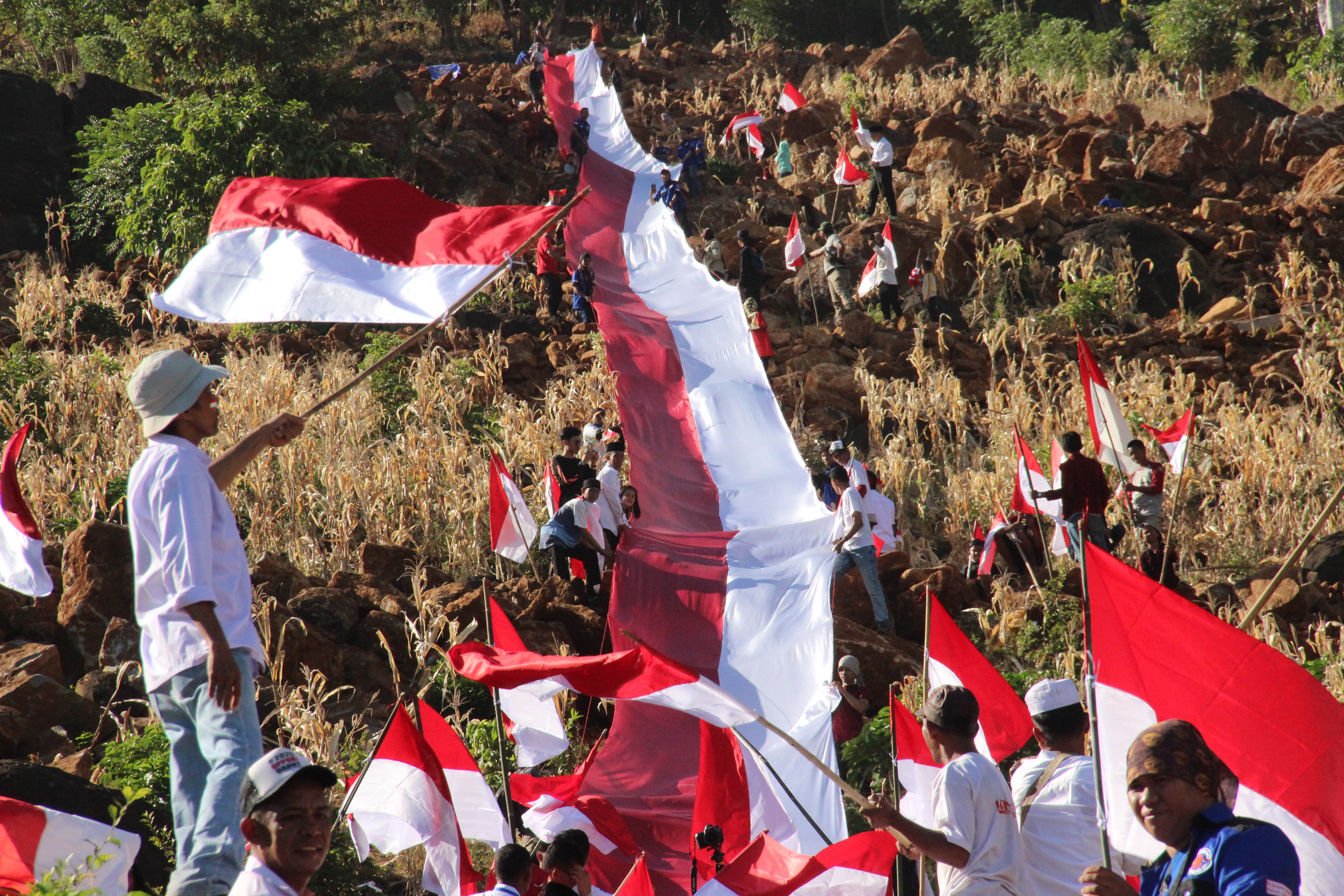 Detail Dp Bendera Nomer 32