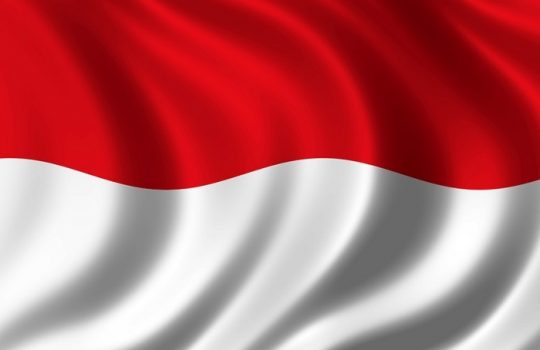 Detail Dp Bendera Merah Putih Bergerak Nomer 8