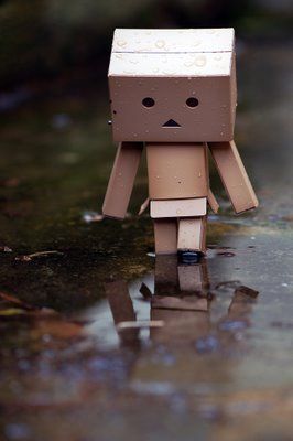 Detail Dp Danbo Nomer 16