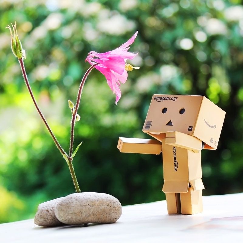 Detail Dp Danbo Nomer 3