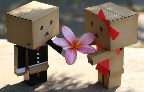 Detail Dp Danbo Nomer 29