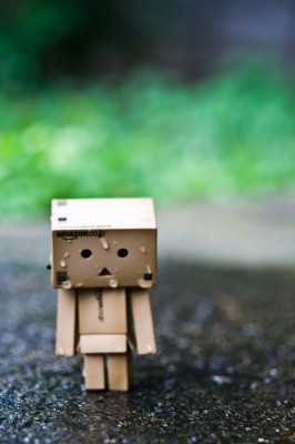 Detail Dp Danbo Nomer 31