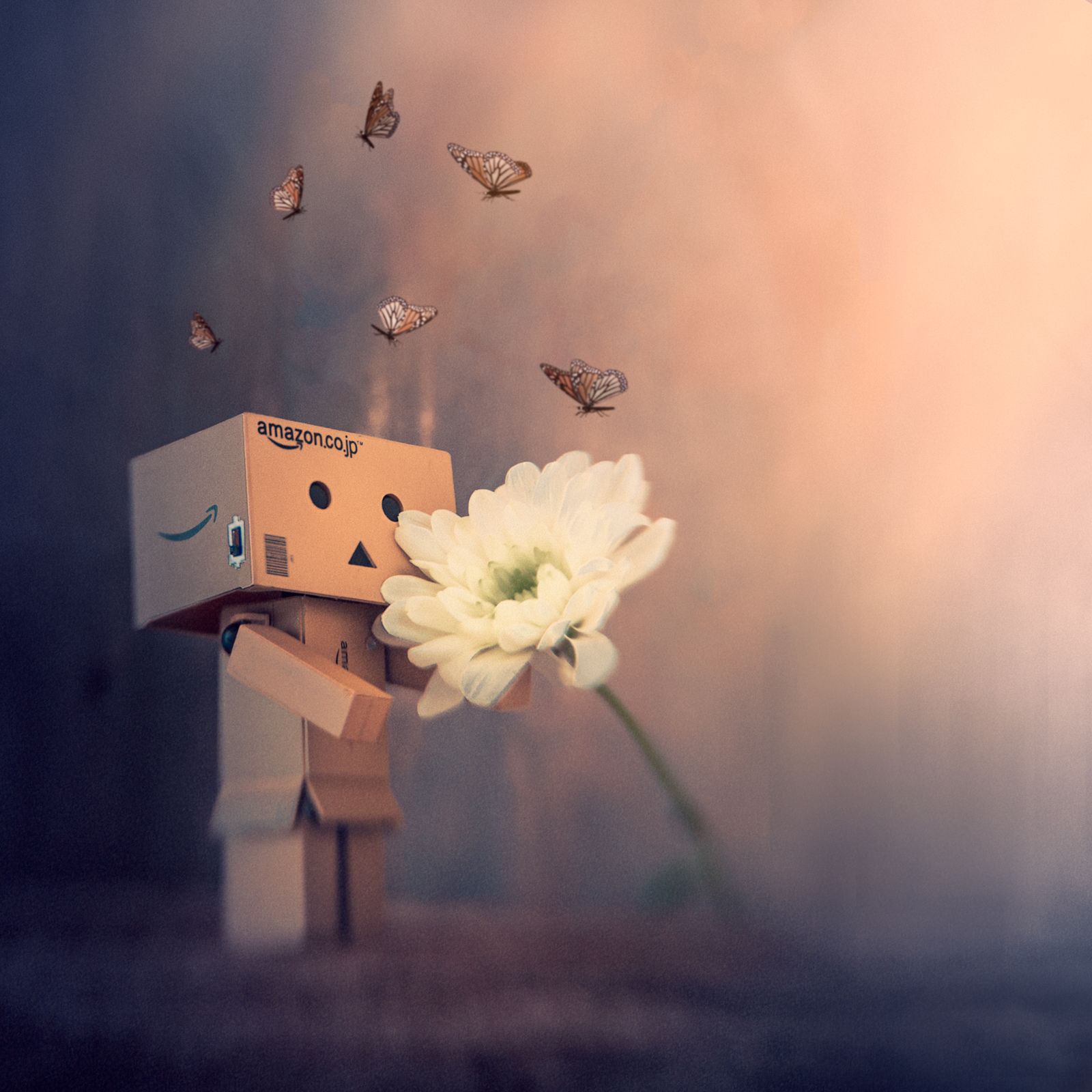 Detail Dp Danbo Nomer 5