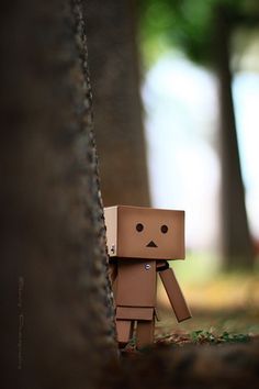 Detail Dp Danbo Nomer 48