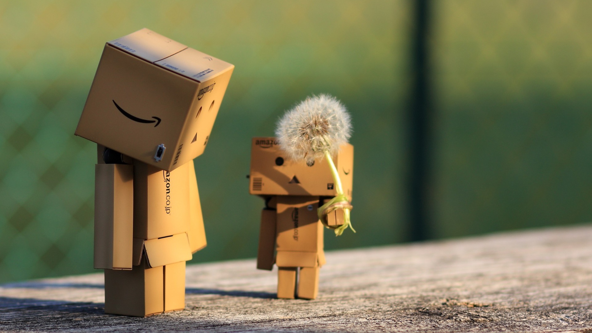 Detail Dp Danbo Nomer 52