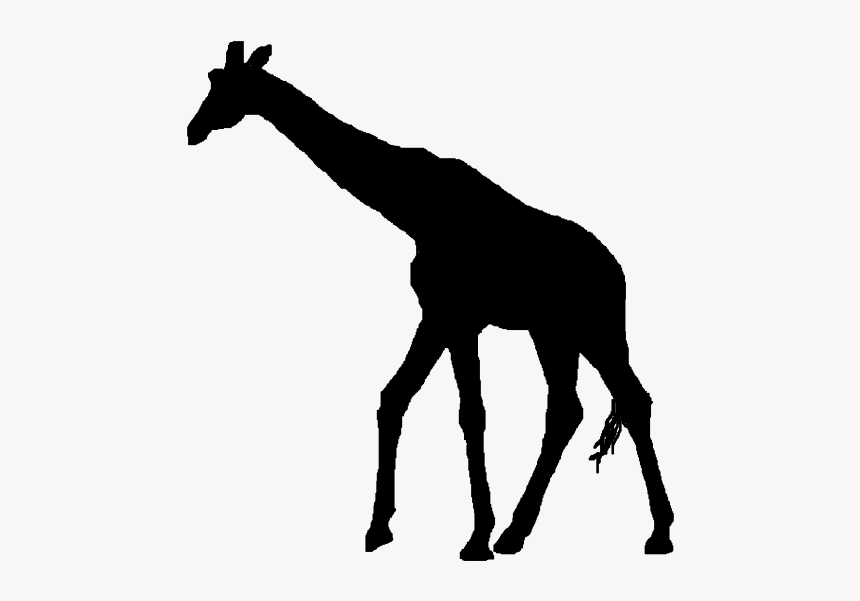 Detail Giraffe Silhouette Clipart Nomer 8