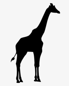 Detail Giraffe Silhouette Clipart Nomer 3