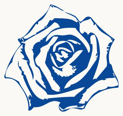 Detail Zweifarbige Rosen Bilder Nomer 29