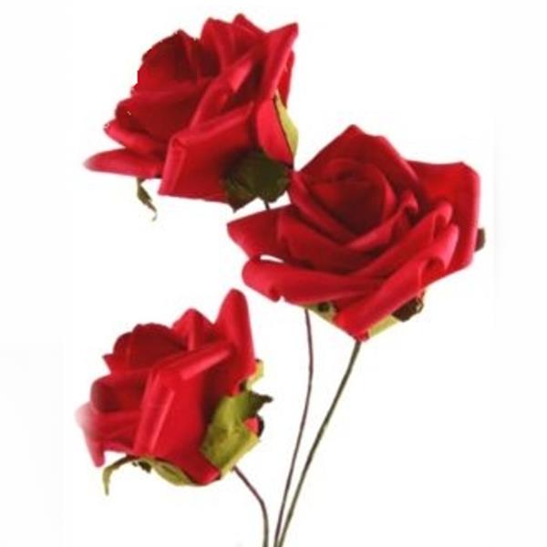 Detail Zweifarbige Rosen Bilder Nomer 6
