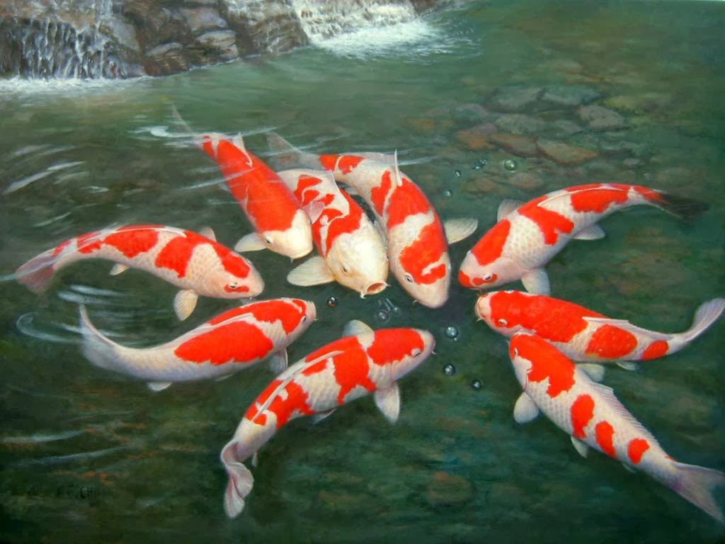 Dp Ikan - KibrisPDR