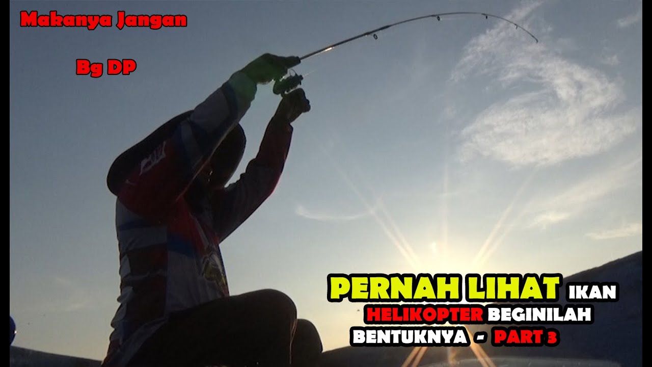 Detail Dp Ikan Nomer 39