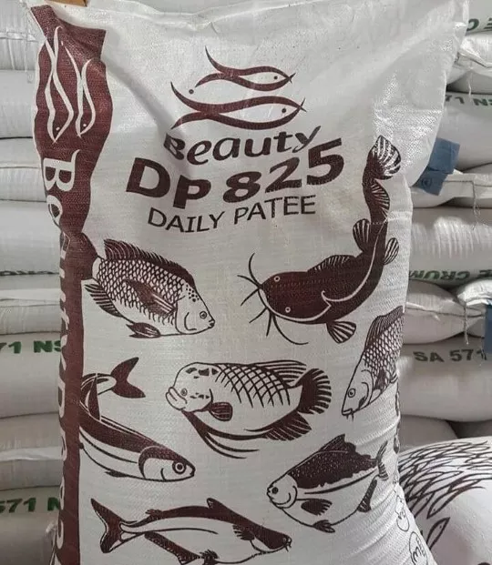 Detail Dp Ikan Nomer 44