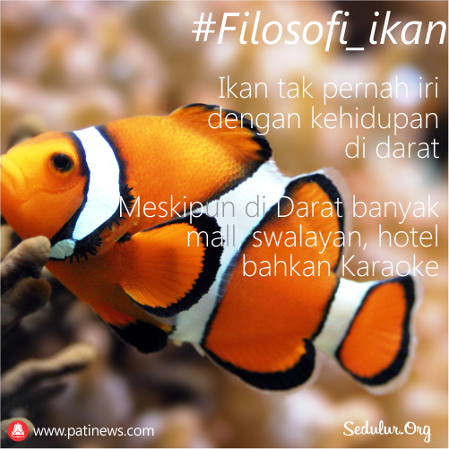 Detail Dp Ikan Nomer 5