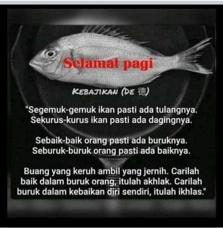 Detail Dp Ikan Nomer 48