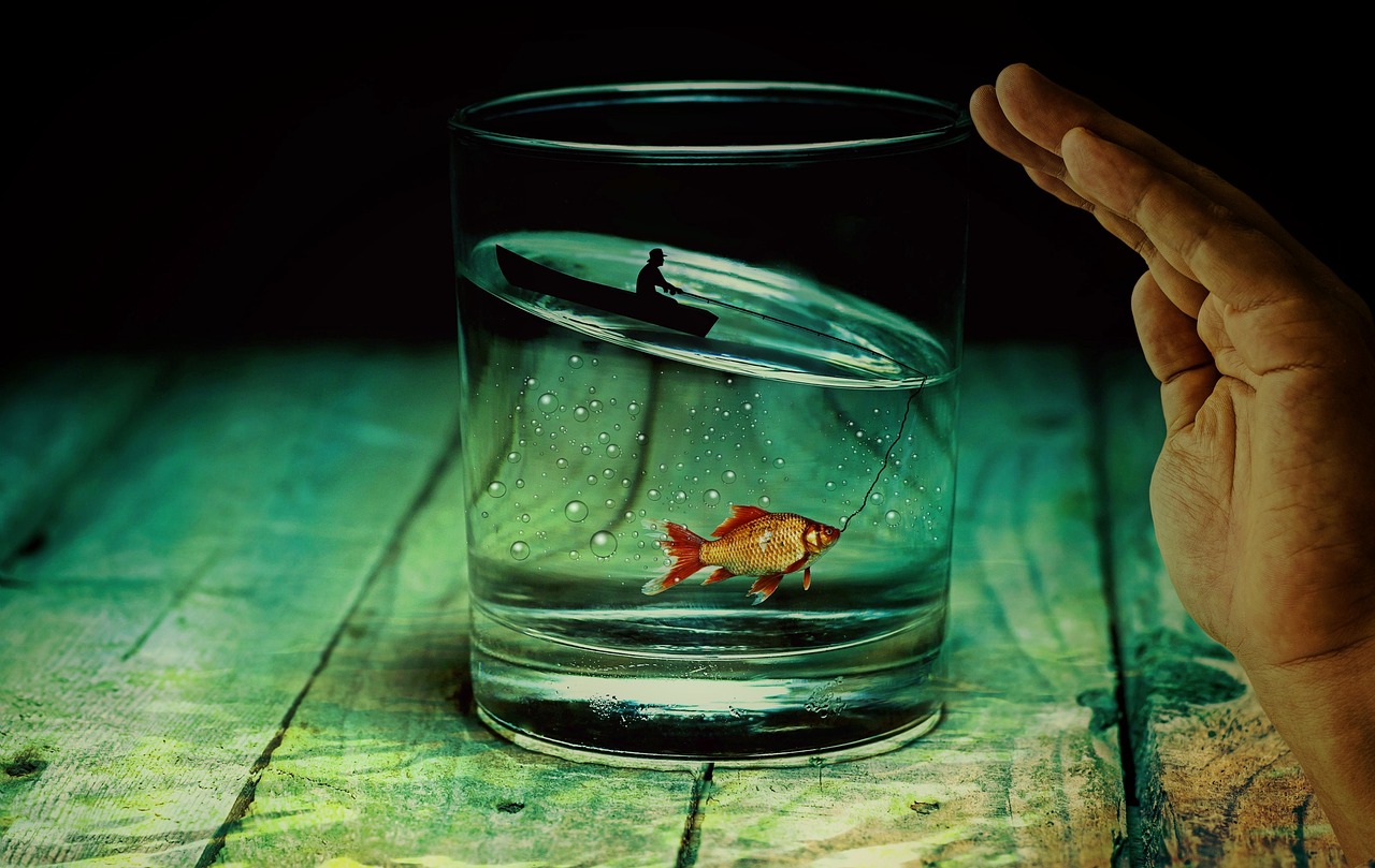 Detail Dp Ikan Nomer 53