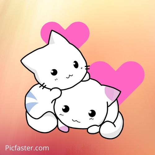 Detail Dp Imut Nomer 47