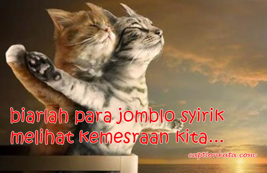 Detail Dp Kucing Nomer 45