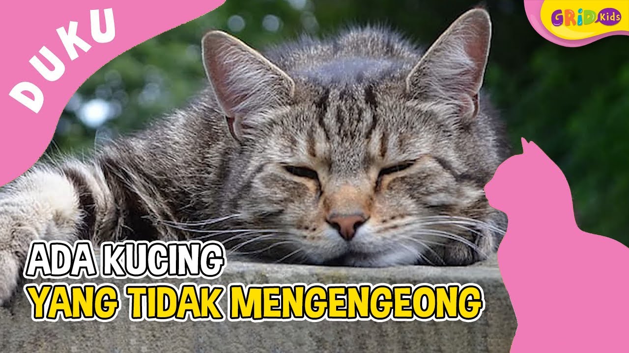 Detail Dp Kucing Nomer 54