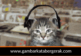 Detail Dp Kucing Bergerak Nomer 13