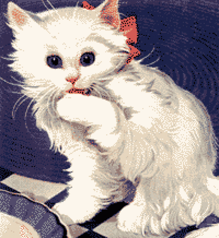 Detail Dp Kucing Bergerak Nomer 22