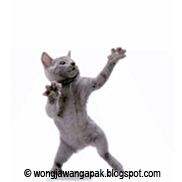Detail Dp Kucing Bergerak Nomer 44