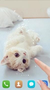 Detail Dp Kucing Bergerak Nomer 46