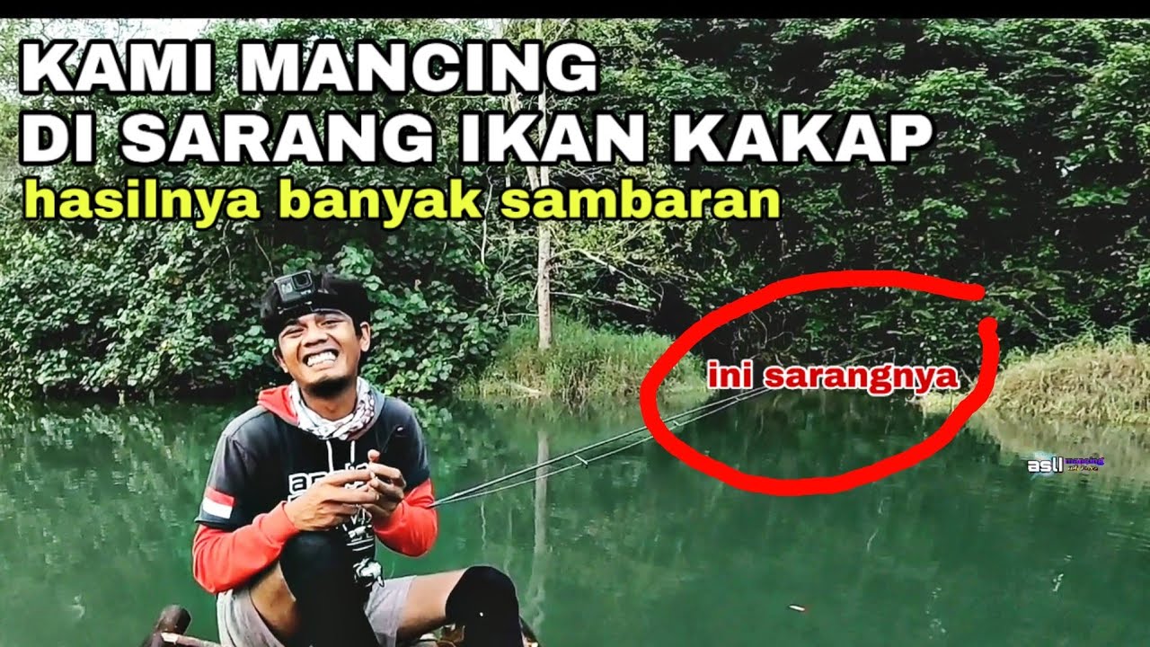 Detail Dp Mancing Lucu Nomer 50