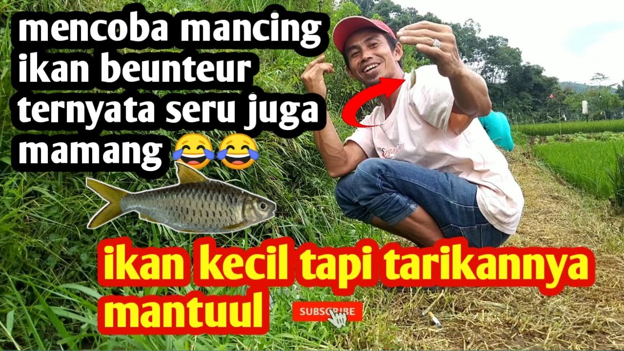 Detail Dp Mancing Lucu Nomer 9