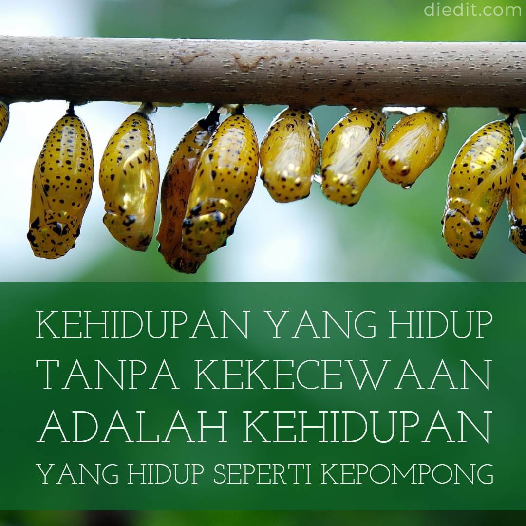 Detail Dp Sakit Hati Dan Kecewa Nomer 29
