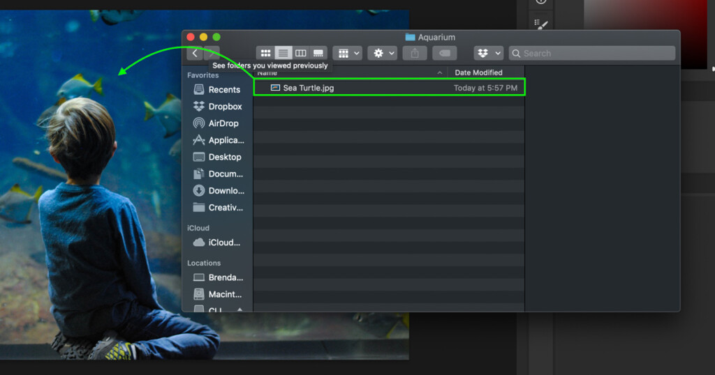 Detail Drag And Drop Photoshop Nomer 32